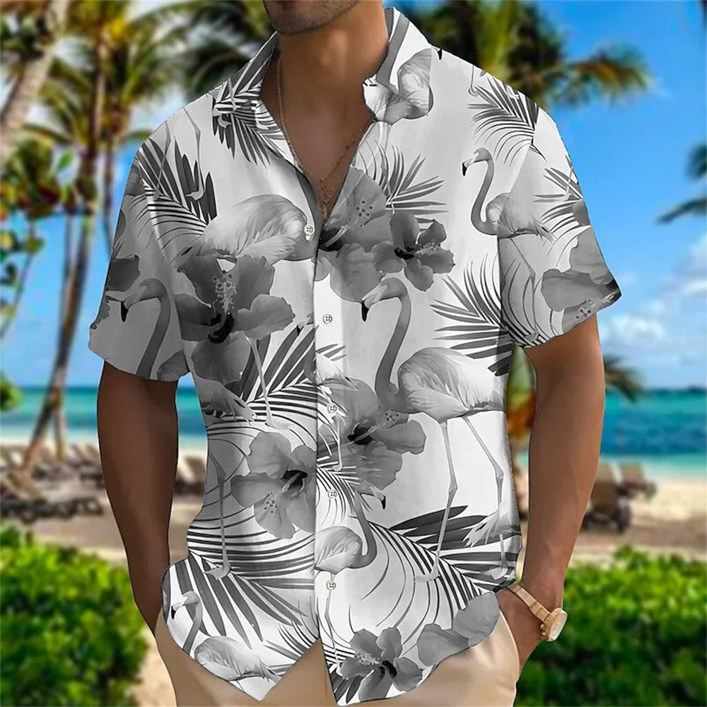 Men shirts collection